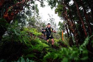 BIB: 
                            <button type="button" onclick="openModal(26204298)" class="btn btn-primary btn-sm float-right btn-popup" data-toggle="modal" data-target=".modal-high-quality">
                        <i class="fas fa-shopping-cart"></i> Add to Cart
                    </button>
                                            <button type="button" onclick="isThisMe(26204298, true)" class="btn btn-success btn-sm float-right btn-popup btn-isme hidden" data-toggle="tooltip" data-placement="bottom" title="นี่คือรูปของคุณใช่ไหม คลิกที่นี่เพื่อเอาเข้าอัลบั้ม">
                        <i class="fas fa-plus"></i> Add to album
                    </button>
                    <button type="button" onclick="isThisMe(26204298, false)" class="btn btn-warning btn-sm float-right btn-popup btn-isnotme hidden">
                        <i class="fas fa-ban"></i> Remove from album
                    </button>